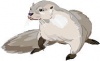 otter_100 otter_100
